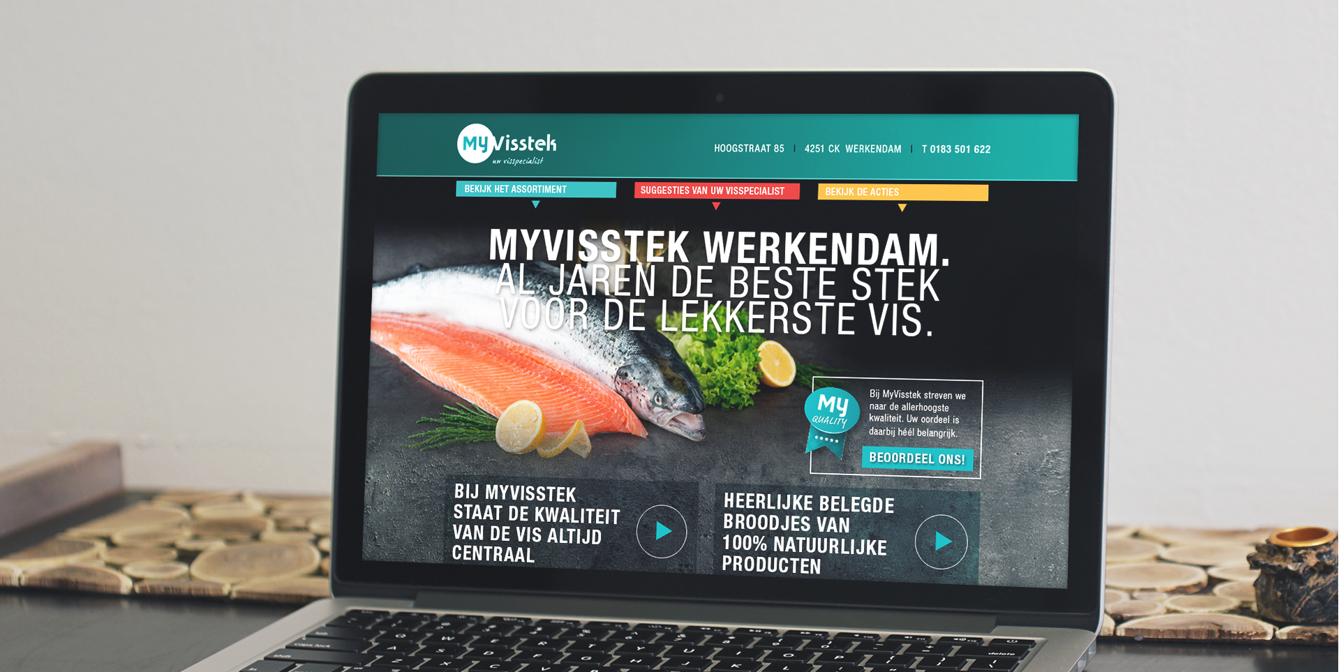 Website MyVisstek