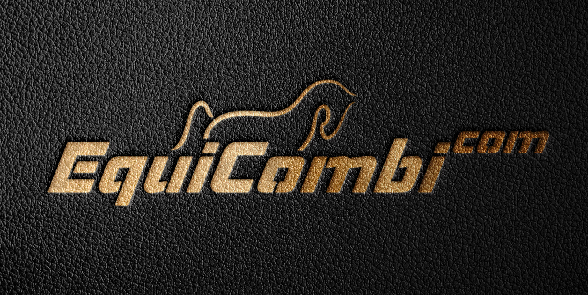 Logo Equicombi.com